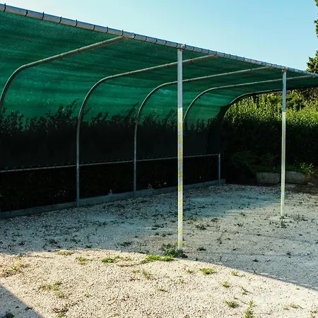 Casa Federico Apartament